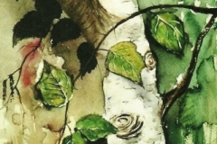 Birke-aquarell