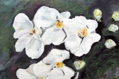 Blumen-weis-acryl