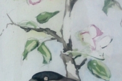 Dompfaffen-Kirschblüte-aquarell