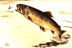 Forelle-aquarell
