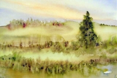 Landschaft-mit-Tanne-aquarell