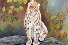 Luchs-acryl
