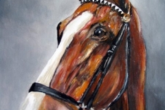 Pferd-Potrait-acryl