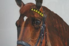 Pferd-Potrait-aquarell