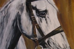 Pferd-Schimmel-öl
