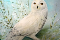 Schneeeule-acryl