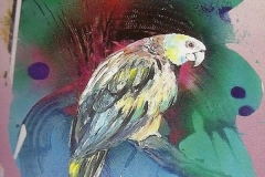 Symbiose-Vogel