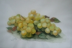 Weintrauben-grün-aquarell