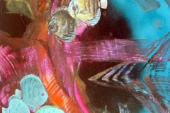 otto-symbiose-Diskus-Fische