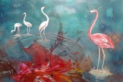 otto-symbiose-Flamingos