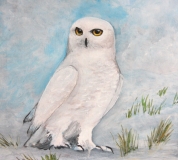 rene.tierfoto.gemalt 018